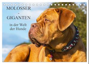 Molosser - Giganten in der Welt der Hunde (Tischkalender 2025 DIN A5 quer), CALVENDO Monatskalender