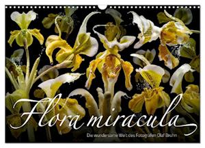 Flora miracula - Die wundersame Welt des Fotografen Olaf Bruhn (Wandkalender 2025 DIN A3 quer), CALVENDO Monatskalender