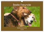 Beste Freunde - Spielende Hunde (Wandkalender 2025 DIN A3 quer), CALVENDO Monatskalender