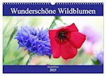 Wunderschöne Wildblumen (Wandkalender 2025 DIN A3 quer), CALVENDO Monatskalender