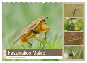 Faszination Makro - Die Welt der Insekten (Wandkalender 2025 DIN A2 quer), CALVENDO Monatskalender