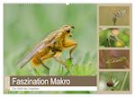 Faszination Makro - Die Welt der Insekten (Wandkalender 2025 DIN A2 quer), CALVENDO Monatskalender