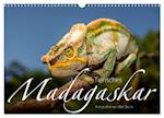 Tierisches Madagaskar (Wandkalender 2025 DIN A3 quer), CALVENDO Monatskalender