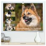 Islandhunde im Portrait (hochwertiger Premium Wandkalender 2025 DIN A2 quer), Kunstdruck in Hochglanz