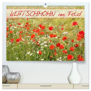 Klatschmohn im Feld (hochwertiger Premium Wandkalender 2025 DIN A2 quer), Kunstdruck in Hochglanz