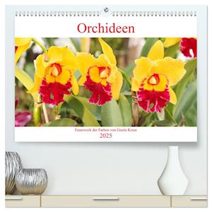 Orchideen Feuerwerk der Farben (hochwertiger Premium Wandkalender 2025 DIN A2 quer), Kunstdruck in Hochglanz