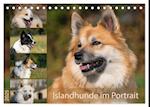 Islandhunde im Portrait (Tischkalender 2025 DIN A5 quer), CALVENDO Monatskalender