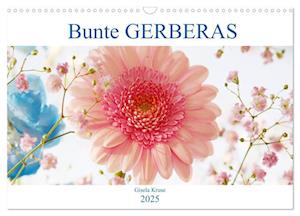 Bunte Gerberas (Wandkalender 2025 DIN A3 quer), CALVENDO Monatskalender