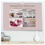 Samtpfoten Momente mit Shabby Chic & Vintage Flair (hochwertiger Premium Wandkalender 2025 DIN A2 quer), Kunstdruck in Hochglanz