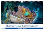 Wunderwelt Unterwasser (Wandkalender 2025 DIN A4 quer), CALVENDO Monatskalender