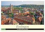 Esslingen von oben und von unten (Wandkalender 2025 DIN A2 quer), CALVENDO Monatskalender