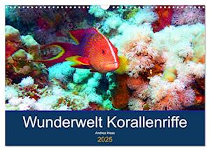 Wunderwelt Korallenriffe (Wandkalender 2025 DIN A3 quer), CALVENDO Monatskalender