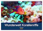 Wunderwelt Korallenriffe (Wandkalender 2025 DIN A3 quer), CALVENDO Monatskalender