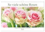 So viele schöne Rosen (Wandkalender 2025 DIN A4 quer), CALVENDO Monatskalender