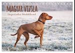 Magyar Vizsla - Ungarischer Vorstehhund (Tischkalender 2025 DIN A5 quer), CALVENDO Monatskalender