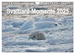 Svalbard-Momente (Wandkalender 2025 DIN A4 quer), CALVENDO Monatskalender