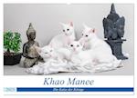 Khao Manee - Die Katze der Könige (Wandkalender 2025 DIN A2 quer), CALVENDO Monatskalender