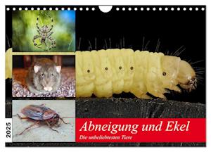 Abneigung und Ekel. Die unbeliebtesten Tiere (Wandkalender 2025 DIN A4 quer), CALVENDO Monatskalender