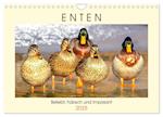 Enten. Beliebt, hübsch und imposant (Wandkalender 2025 DIN A4 quer), CALVENDO Monatskalender