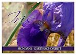 Iris - mondäne Gartenschönheit (Wandkalender 2025 DIN A2 quer), CALVENDO Monatskalender