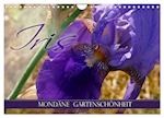 Iris - mondäne Gartenschönheit (Wandkalender 2025 DIN A4 quer), CALVENDO Monatskalender