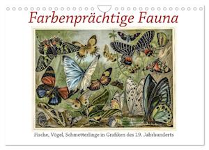 Farbenprächtige Fauna. Fische, Vögel, Schmetterlinge in Grafiken des 19 Jahrhunderts (Wandkalender 2025 DIN A4 quer), CALVENDO Monatskalender