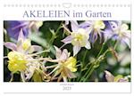 Akeleien im Garten (Wandkalender 2025 DIN A4 quer), CALVENDO Monatskalender