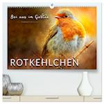 Bei uns im Garten - Rotkehlchen (hochwertiger Premium Wandkalender 2025 DIN A2 quer), Kunstdruck in Hochglanz