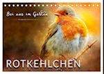 Bei uns im Garten - Rotkehlchen (Tischkalender 2025 DIN A5 quer), CALVENDO Monatskalender