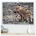 Unverwechselbar - Wildschwein (hochwertiger Premium Wandkalender 2025 DIN A2 quer), Kunstdruck in Hochglanz