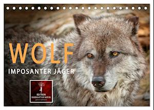 Wolf - Imposanter Jäger (Tischkalender 2025 DIN A5 quer), CALVENDO Monatskalender