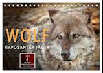 Wolf - Imposanter Jäger (Tischkalender 2025 DIN A5 quer), CALVENDO Monatskalender