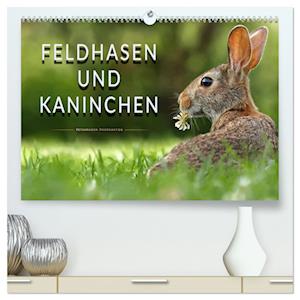 Feldhasen und Kaninchen (hochwertiger Premium Wandkalender 2025 DIN A2 quer), Kunstdruck in Hochglanz