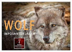 Wolf - Imposanter Jäger (Wandkalender 2025 DIN A2 quer), CALVENDO Monatskalender