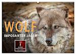 Wolf - Imposanter Jäger (Wandkalender 2025 DIN A2 quer), CALVENDO Monatskalender