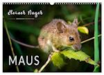 Kleiner Nager - Maus (Wandkalender 2025 DIN A3 quer), CALVENDO Monatskalender