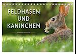 Feldhasen und Kaninchen (Tischkalender 2025 DIN A5 quer), CALVENDO Monatskalender