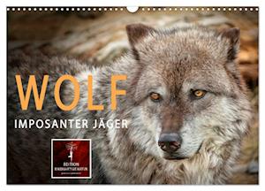 Wolf - Imposanter Jäger (Wandkalender 2025 DIN A3 quer), CALVENDO Monatskalender