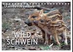 Unverwechselbar - Wildschwein (Tischkalender 2025 DIN A5 quer), CALVENDO Monatskalender