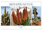 BOTANICACTUS Mallorcas Kakteengarten (Wandkalender 2025 DIN A4 quer), CALVENDO Monatskalender