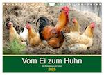 Vom Ei zum Huhn. Die Entwicklung von Küken (Wandkalender 2025 DIN A4 quer), CALVENDO Monatskalender