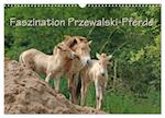 Faszination Przewalski-Pferde (Wandkalender 2025 DIN A3 quer), CALVENDO Monatskalender