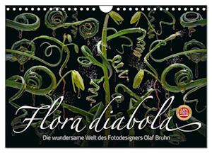 Flora diabola - Die wundersame Welt des Fotodesigners Olaf Bruhn (Wandkalender 2025 DIN A4 quer), CALVENDO Monatskalender