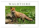 Waldtiere (Wandkalender 2025 DIN A4 quer), CALVENDO Monatskalender