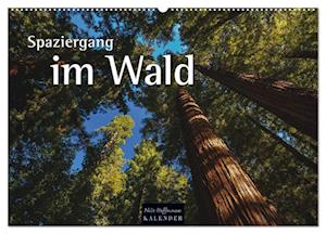 Spaziergang im Wald (Wandkalender 2025 DIN A2 quer), CALVENDO Monatskalender