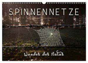 Spinnennetze - Wunder der Natur (Wandkalender 2025 DIN A3 quer), CALVENDO Monatskalender