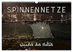 Spinnennetze - Wunder der Natur (Wandkalender 2025 DIN A3 quer), CALVENDO Monatskalender