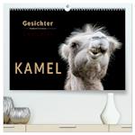 Kamel Gesichter (hochwertiger Premium Wandkalender 2025 DIN A2 quer), Kunstdruck in Hochglanz