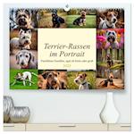 Terrier-Rassen im Portrait (hochwertiger Premium Wandkalender 2025 DIN A2 quer), Kunstdruck in Hochglanz