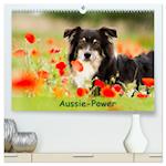 Aussie-Power (hochwertiger Premium Wandkalender 2025 DIN A2 quer), Kunstdruck in Hochglanz